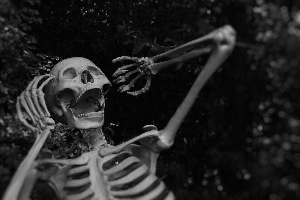 Wet Leaves, Dark Steps and More: Halloween Hazards You Might Be ...