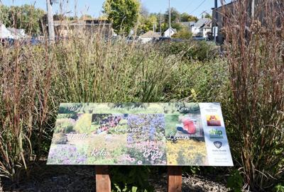 Steele County moves to defund Master Gardener Program ahead of 2027 ...