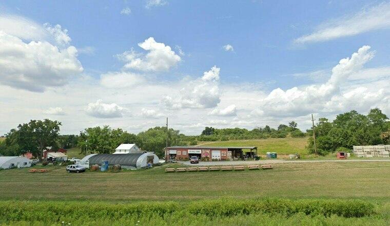 Smithsburg's Ivy Hill Farm Marks 50 Years With Free Fall Festival This ...