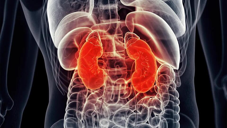 Combination Cuts Kidney Injury Risk Following Septic Shock Procedure ...