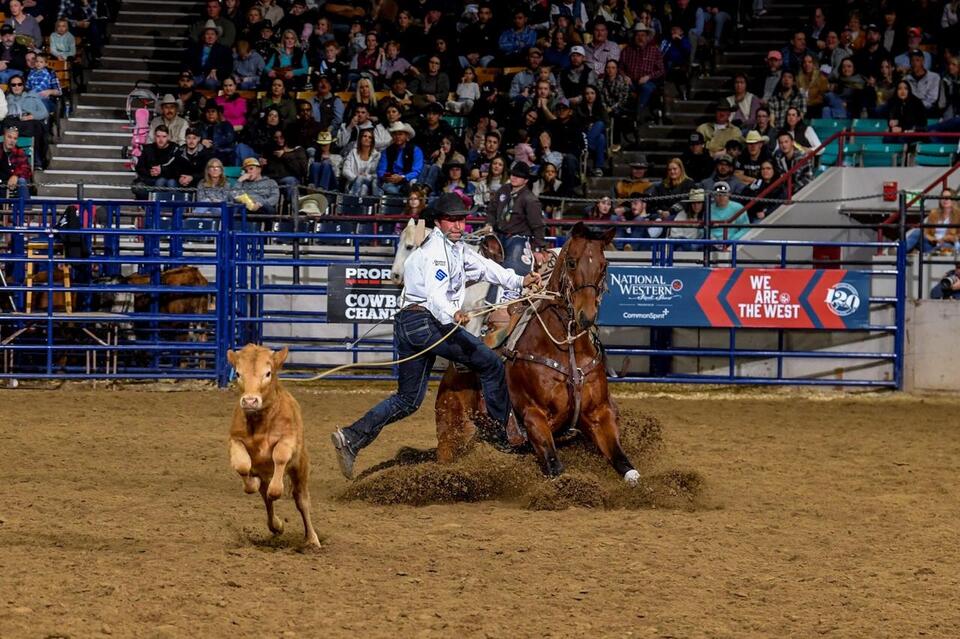 National Western Stock Show Rodeo Calf Roping: 2026 Results and More ...