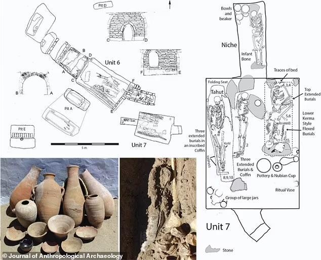 Scientists discover surprising skeletons hidden in the Egyptian ...