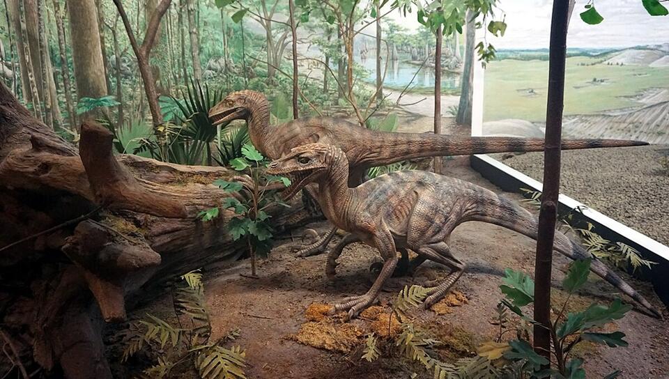 Inside the Hell Creek Formation What the Last Days of the Dinosaurs ...
