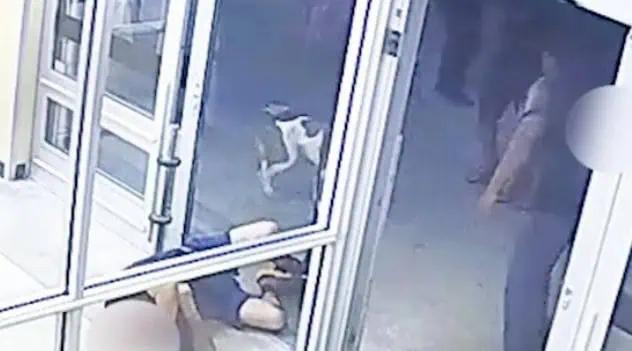 Florida Man Arrested After Brutal Sucker-Punch Outside Aldi Leaves ...