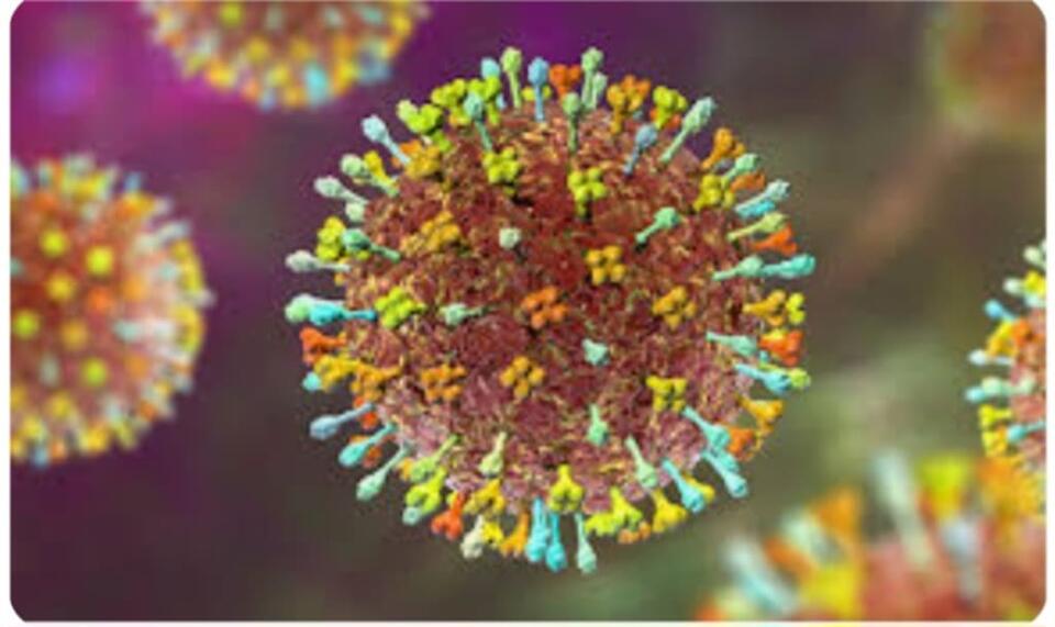 The Nipah Virus: A Deadly Threat to Global Health - NewsBreak