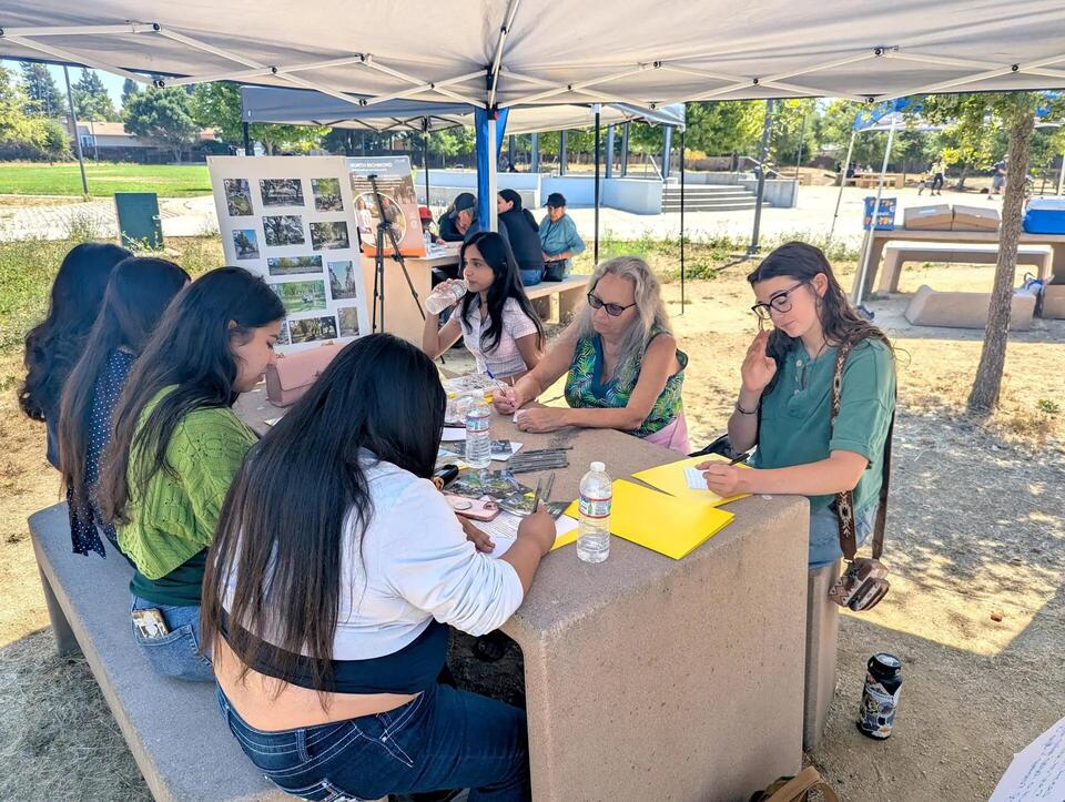 Santa Rosa Residents Rethink Trees