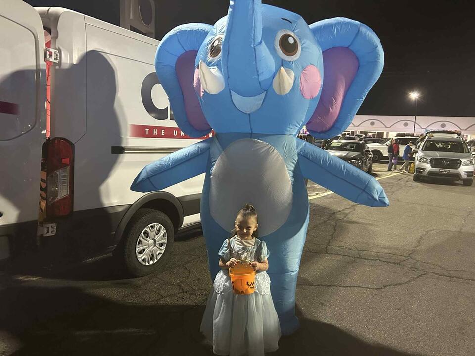TSM's Unofficial Halloween Mascot, Elly The Dancing Elephant - NewsBreak