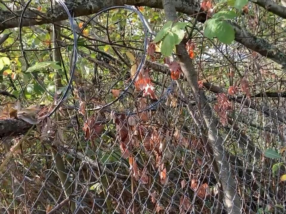 A jail built by the homeless and for the homeless. The camp is long