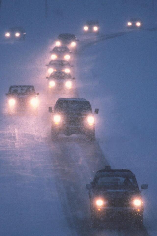 Winter Storm Warning: Up to 36 Inches of Snow, 65 mph Gusts Hit This ...