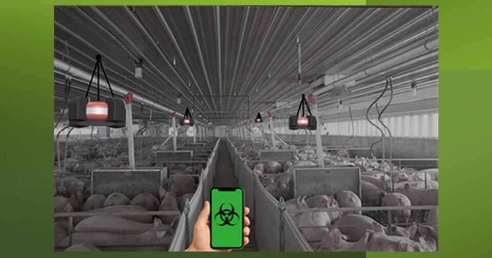 Smoke detector-like device monitors swine barns for viruses - NewsBreak
