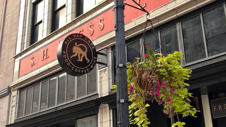 'Frothy Monkey' in downtown Knoxville to close after building owner ...