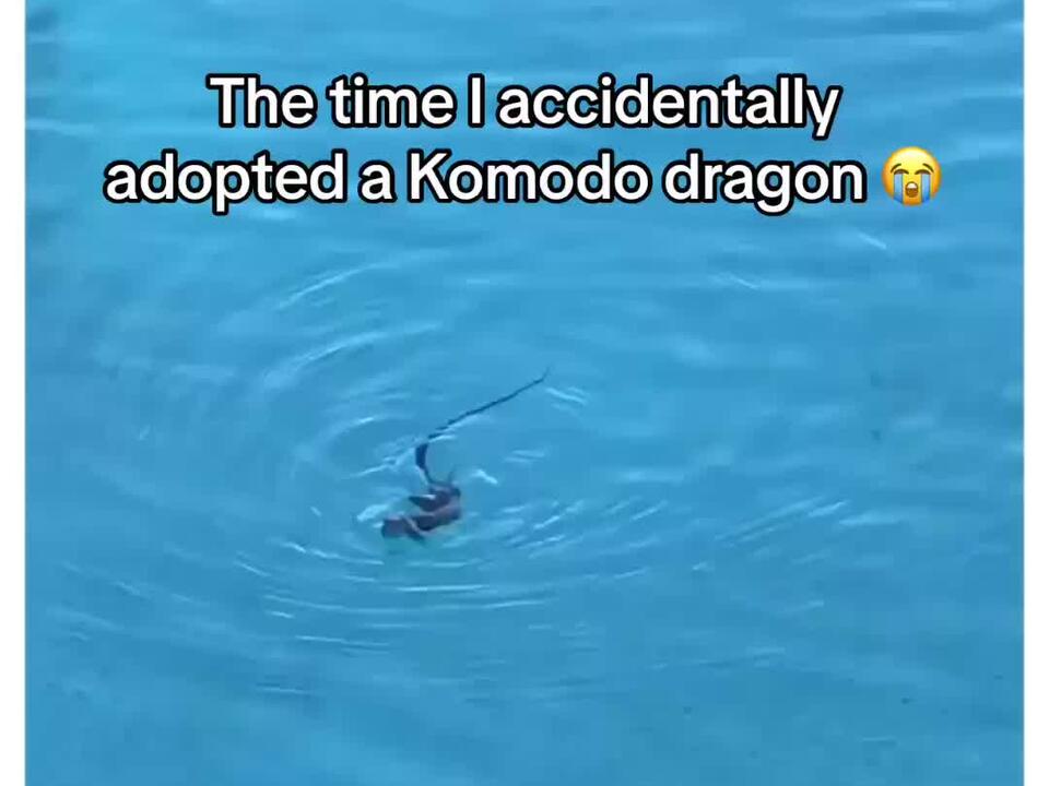 It happens from time to time with all different types of wildlife here