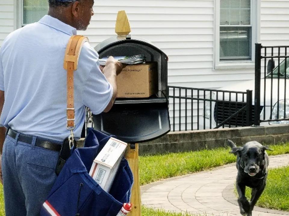 Dogs in these Florida cities attack USPS postal workers the most