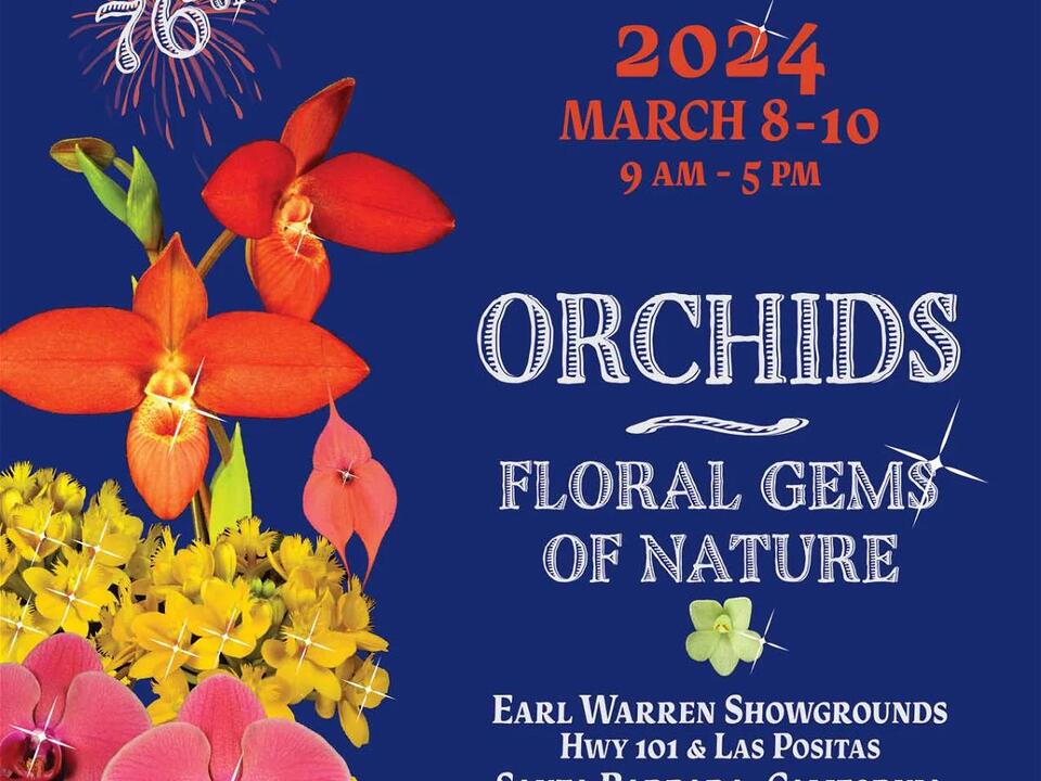 Santa Barbara International Orchid Festival joins morning news