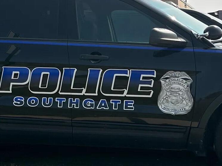 Alcohol suspected factor in fatal collision in Southgate that injured 4