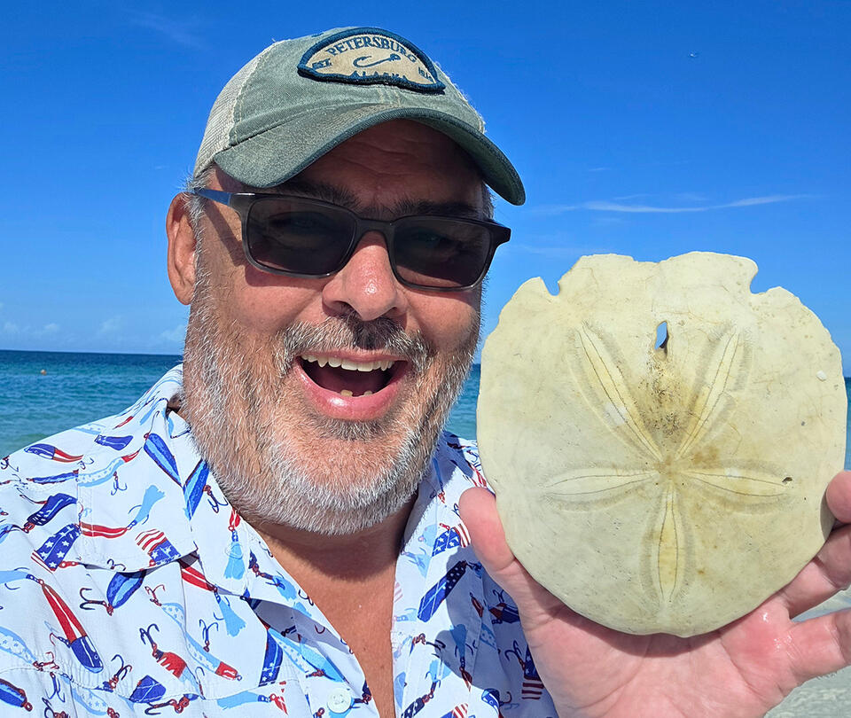 Salty Dawg: Sand dollars