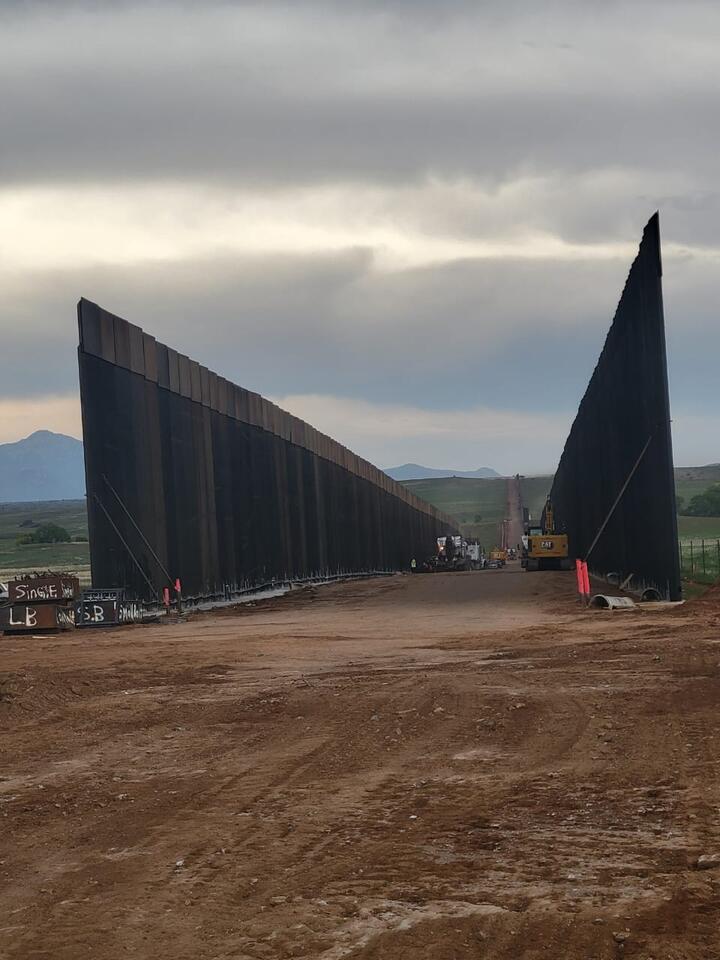 Double Border Wall claims Santa Cruz cottonwoods - NewsBreak