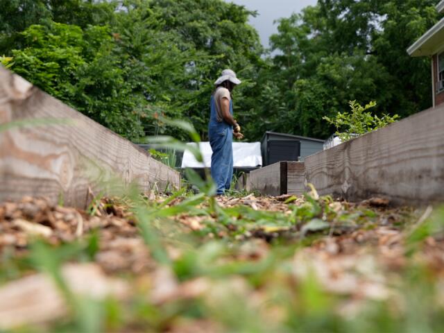 Avondale gardener seeks answers from nonprofit over grant delays