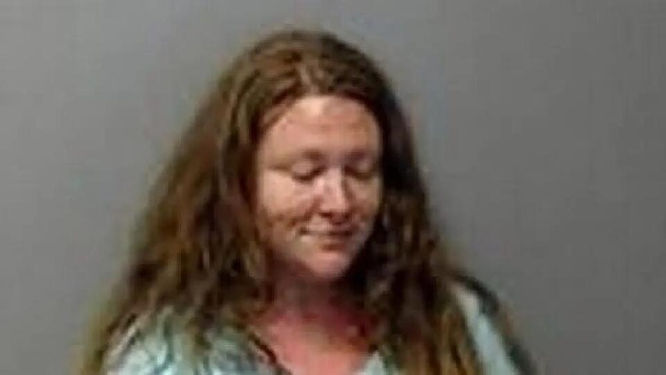 A woman enters a plea and is sentenced to charges in a Baxter County shooting death.