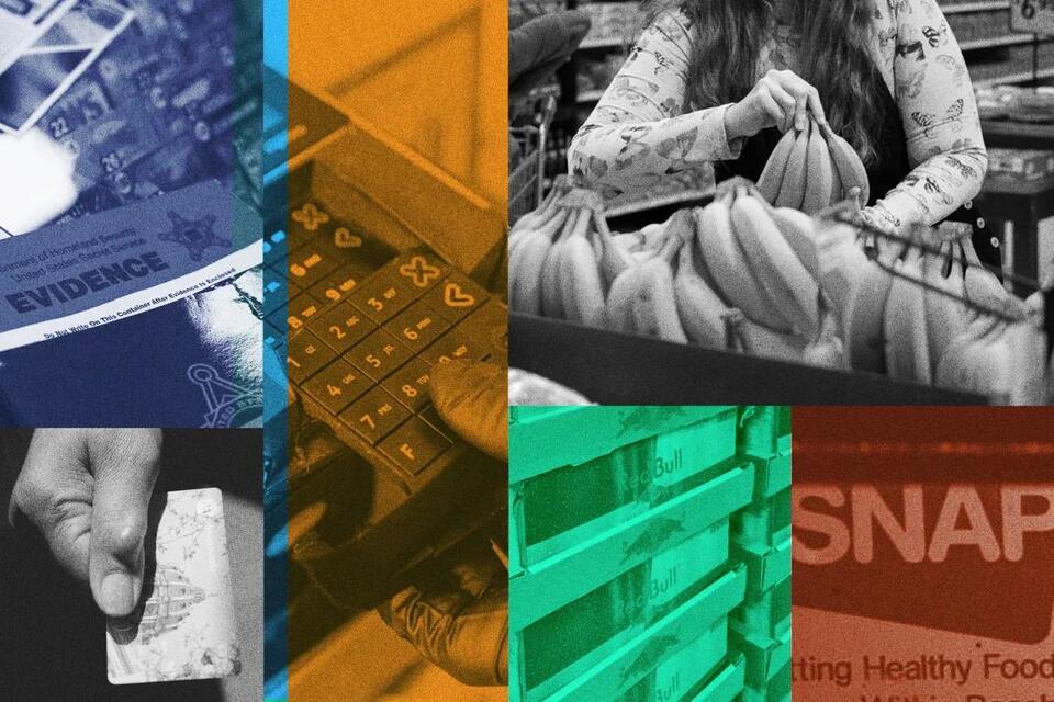 Scammers Are Stealing Millions From Food Stamp Recipients. Congress ...