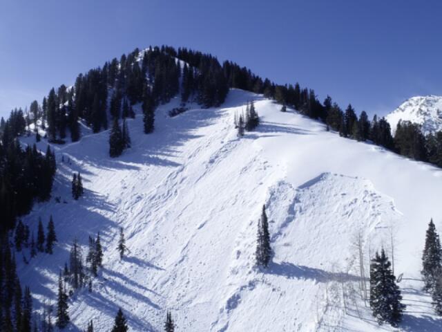Man snowmobiling with son dies in Wasatch County avalanche - NewsBreak