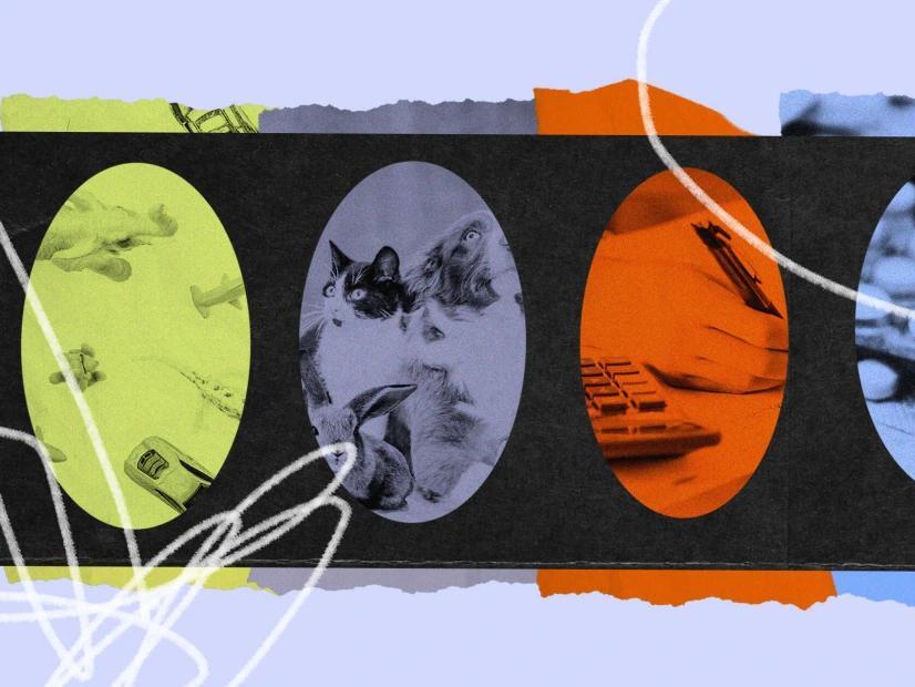 New laws for 2024 Genderneutral toy aisles, retail pet stores and