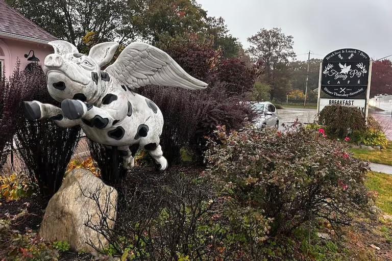 Flying Pig Café in Miller Place closes amid uncertainty - NewsBreak