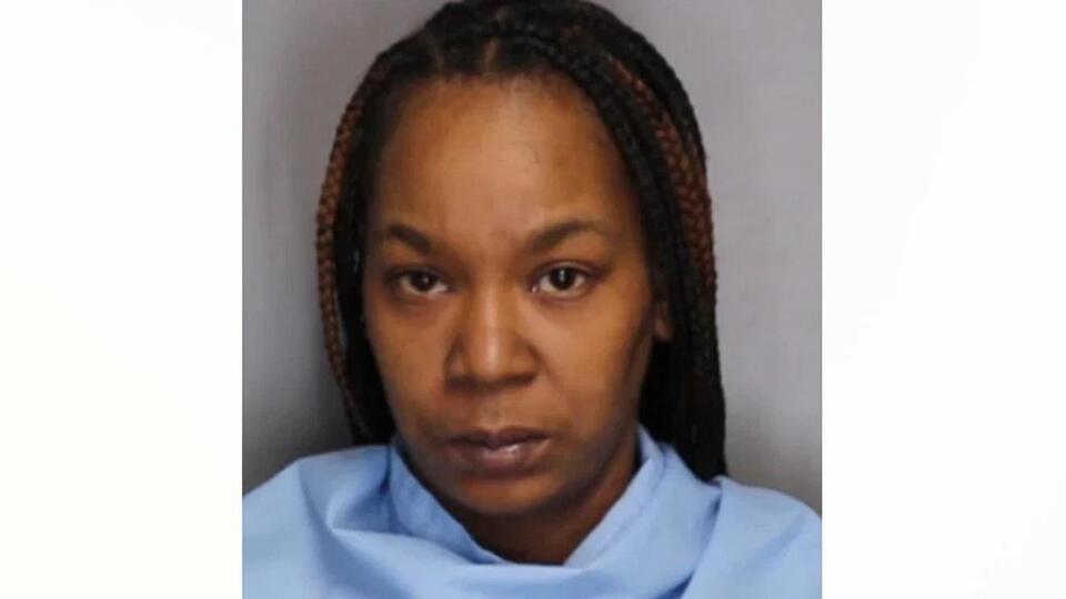 Champaign woman pleads guilty to aggravated DUI in crash that killed ...