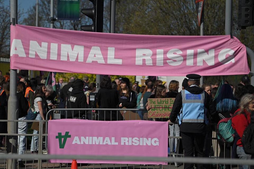 Animal rights campaigners sue Met Police over wrongful arrests before King's Coronation