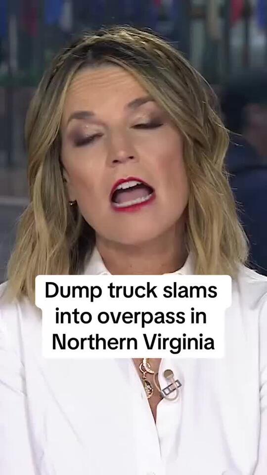 dump trump slamsinto overpass in Northern Virginia please shut your ...