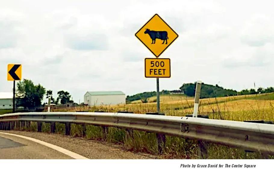 Data Center Site Developers Looking at PA Farmlands