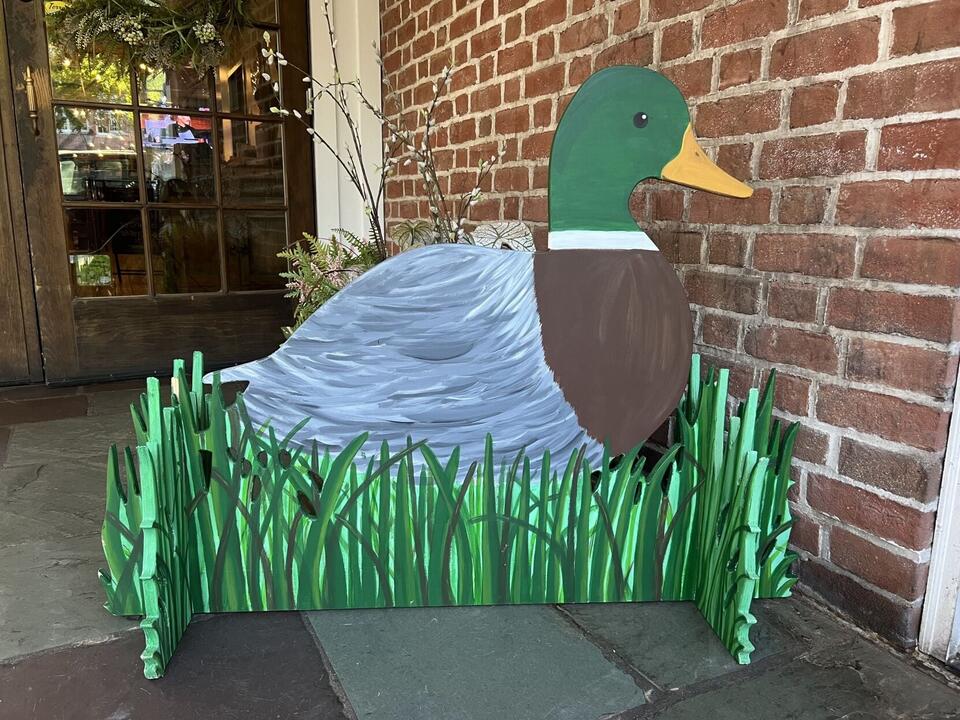 Waterfowl Festival launches new duck scavenger hunt - NewsBreak
