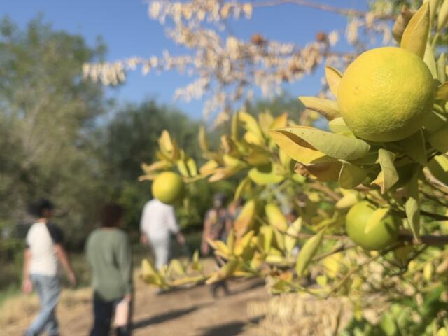 From urban farm to full career, program looks to grow agriculture workforce