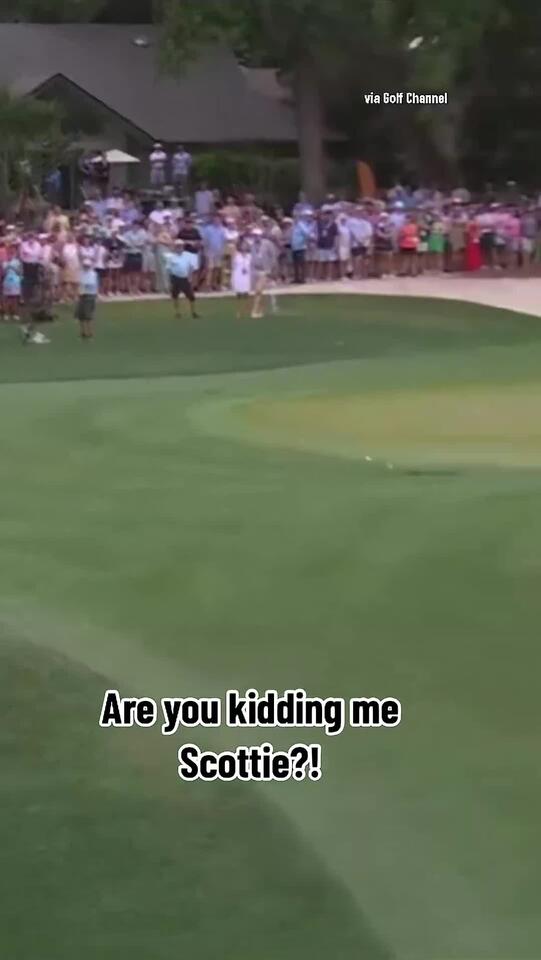 Scottie scheffler cannot be stopped golf pgatour scottiescheffler