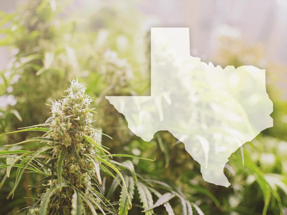 Texas Hemp THC Ban and Medical Marijuana Expansion Set to Become Law on ...