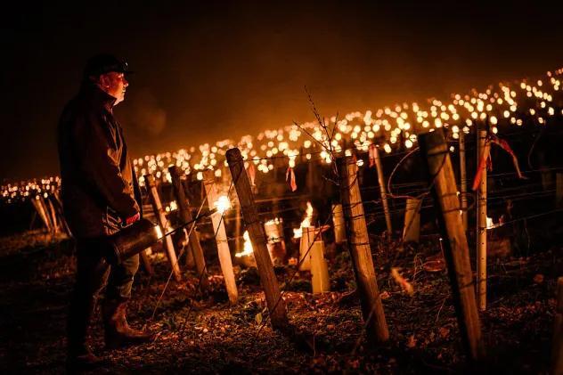 French vineyards light hundreds of fires to fight off a spring freeze ...
