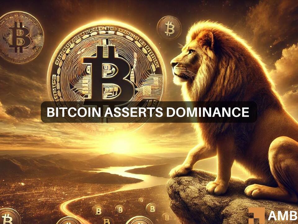 Bitcoin dominance hits 56 Here’s what it means for your holdings