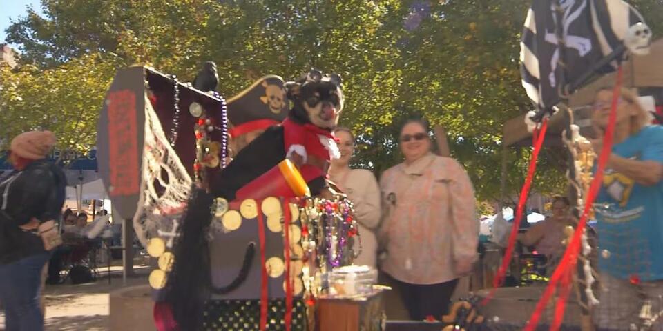 Weekend Events: Get ready for the annual Pets and Pumpkins parade in downtown Springfield!