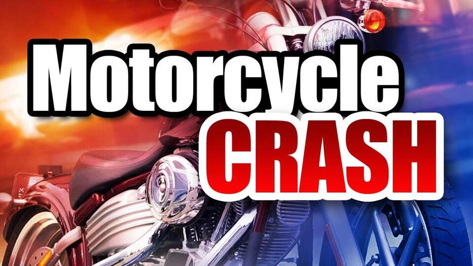 Highway 31 Crash: Harley rider hospitalized after colliding with bear ...
