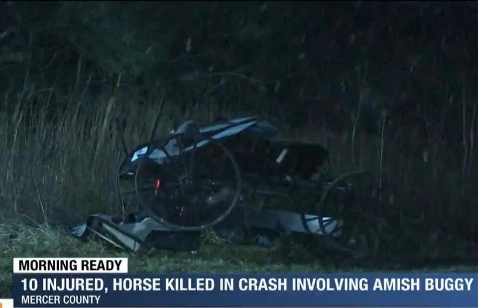 Car Hits Amish Buggy “Head-On”; 10 Injured, Horse Put Down (UPDATED ...