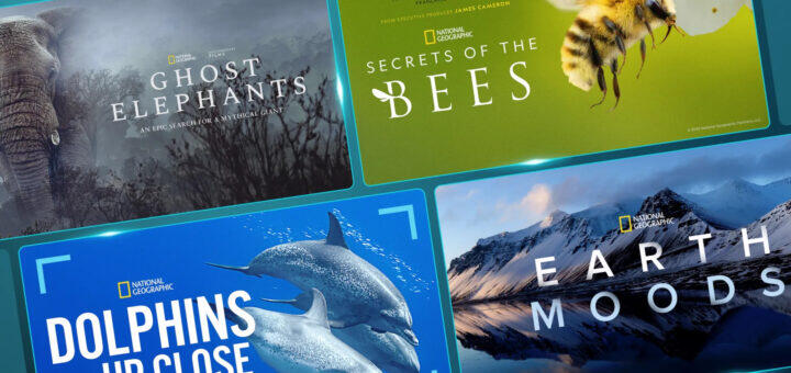 National Geographic Is Celebrating Earth Month 2026 With Disney+ ...