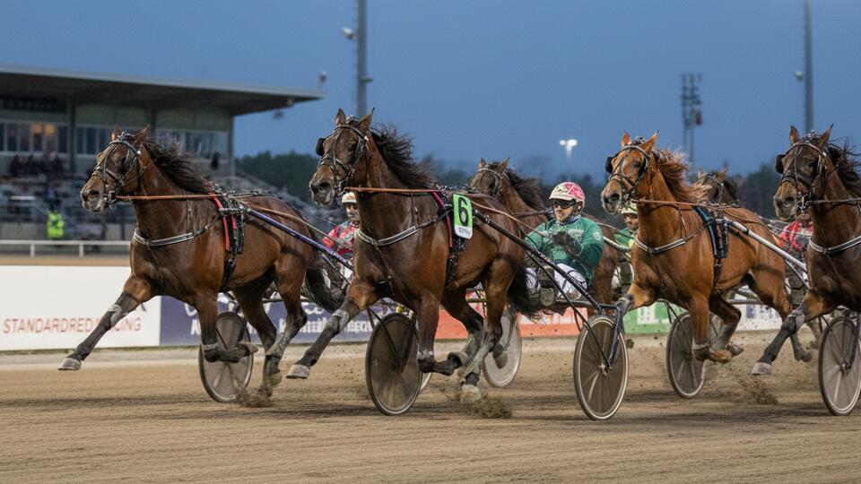 New Jersey Sire Stakes Board of Trustees Announces New Races for NJ ...