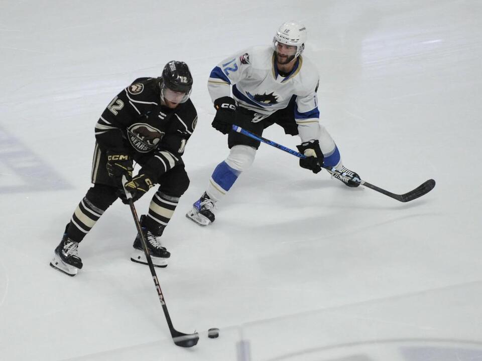 Bears Advance to Calder Cup Finals in Game 7 Overtime Thriller
