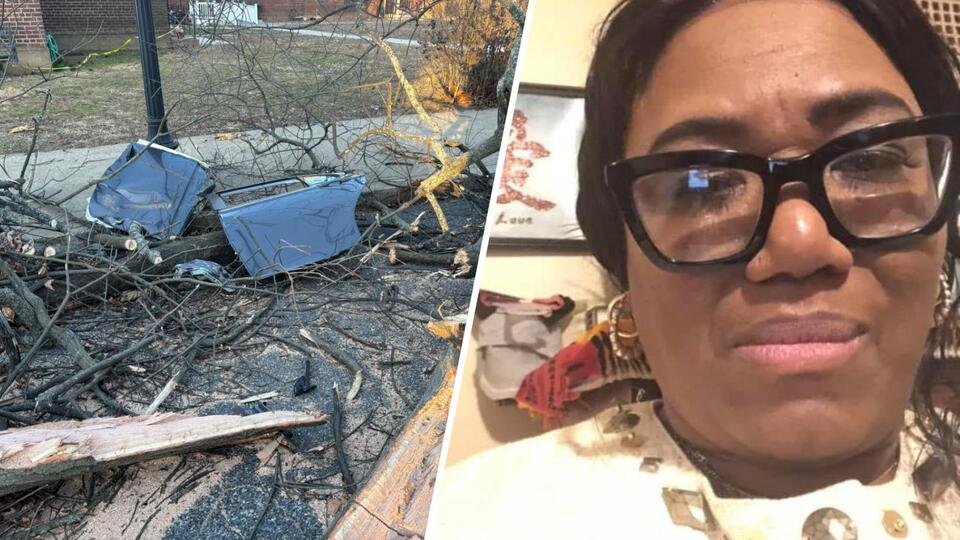 Woman dies after tree falls on car in Northeast Philly - NewsBreak