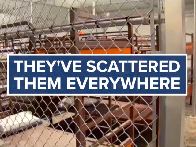'They’ve scattered them everywhere': Where detainees go after Alligator Alcatraz