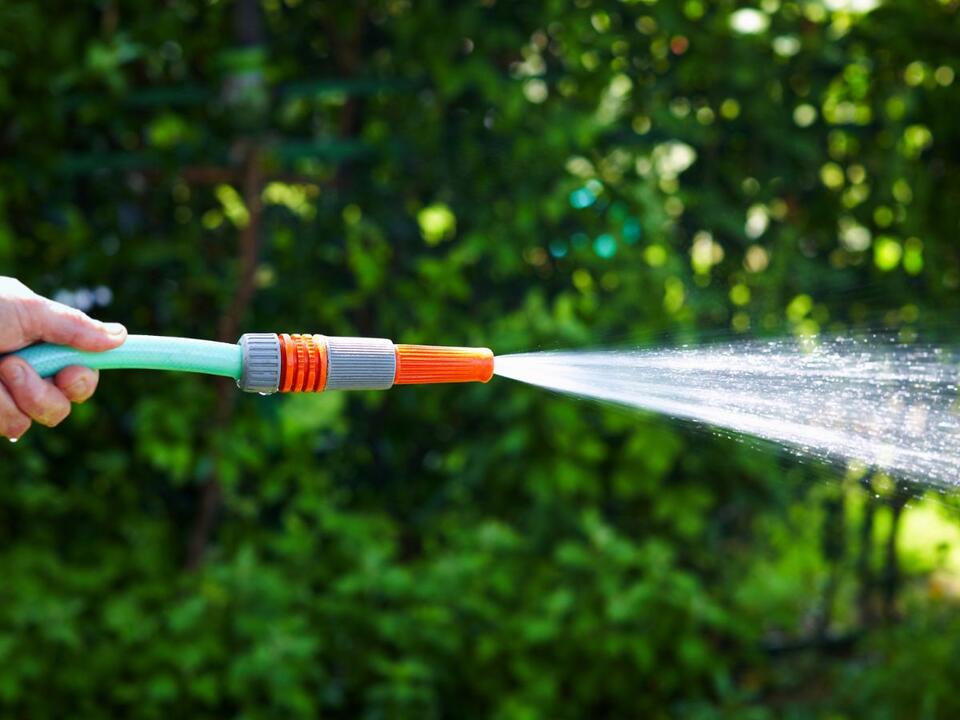 Is it safe to drink from a hose? A doctor warns it could leave you