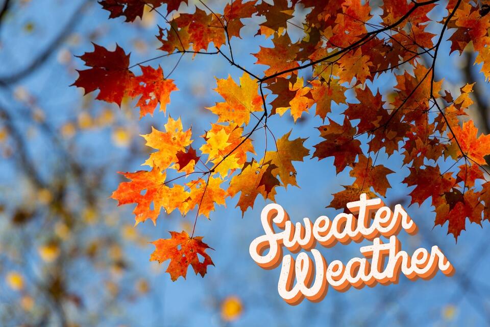 Fall-Like Weather Is Finally Arriving in Alabama This Weekend - NewsBreak