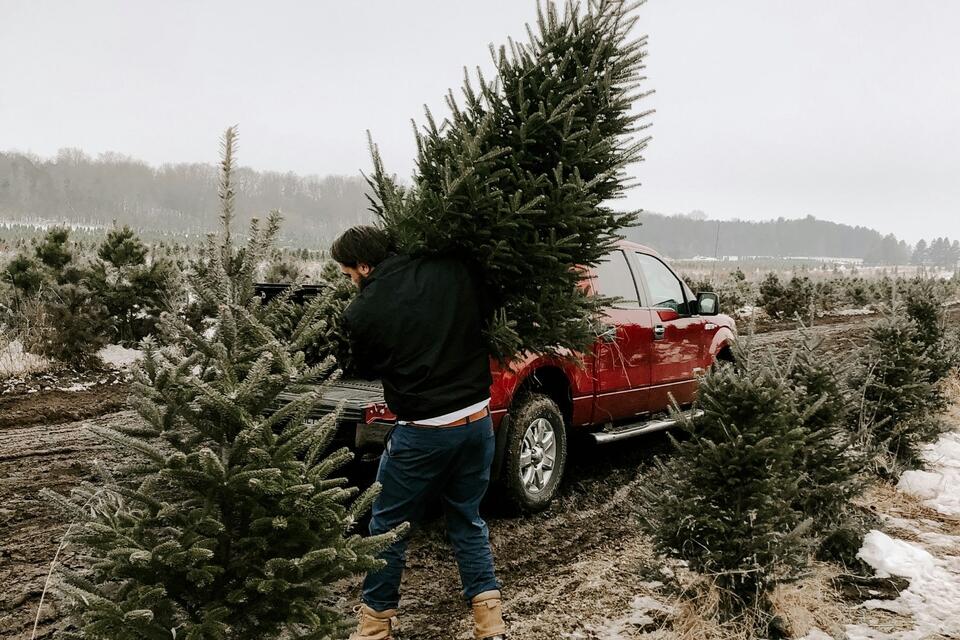 Did You Know You Can Cut Your Own Christmas Tree in Michigan National ...