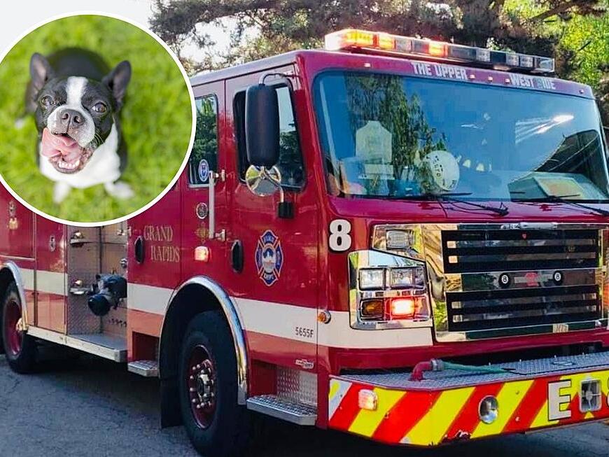 Grand Rapids Firefighters Rescue 13 Year Old Dog From Grand River
