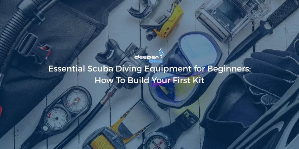 Essential Scuba Diving Equipment for Beginners: How To Build Your First ...